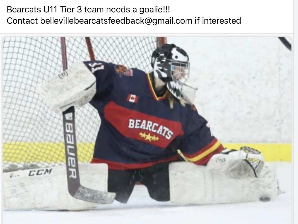 Goalie_pic.png