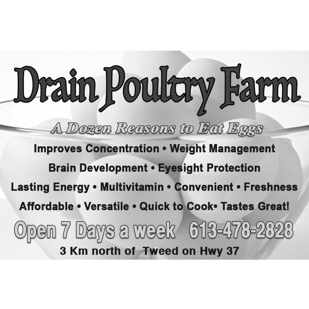 Drain Poultry Farms