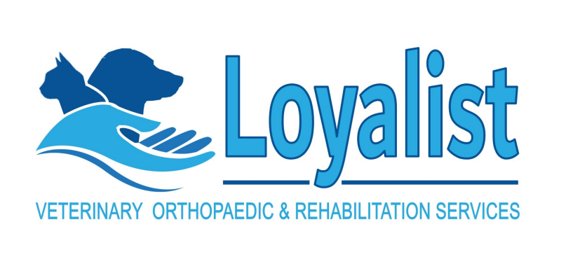 Loyalist Veterinary