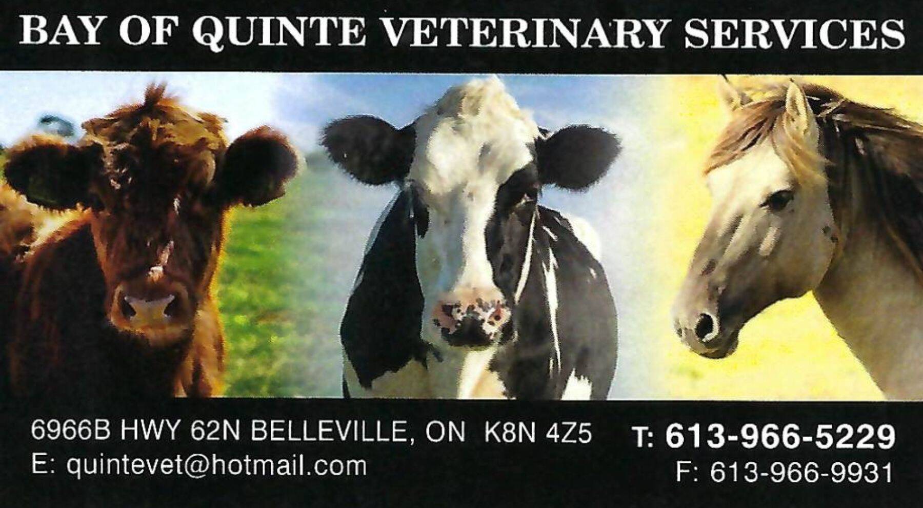 Bay of Quinte Veterinary Services