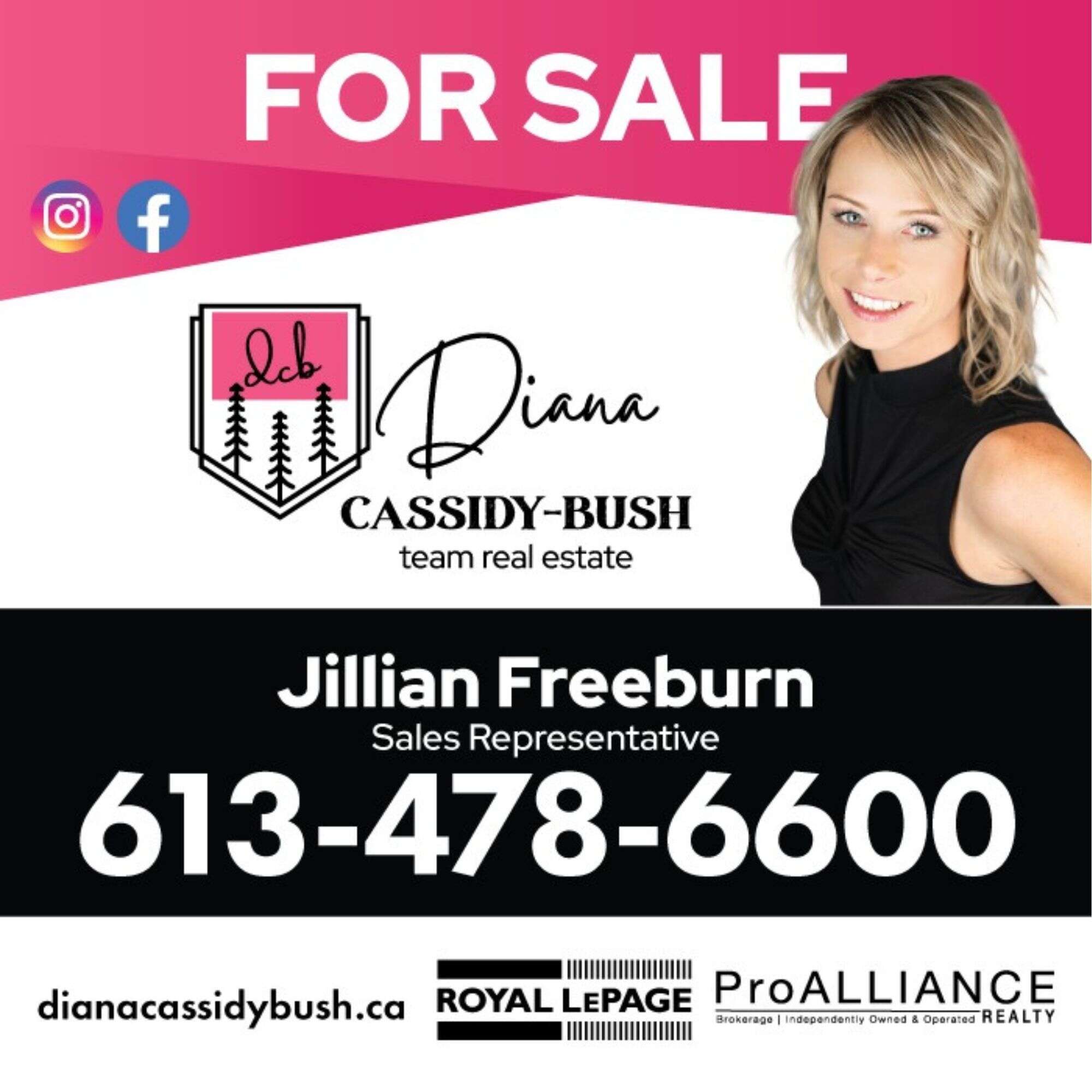 Diana Cassidy-Bush Team Real Estate